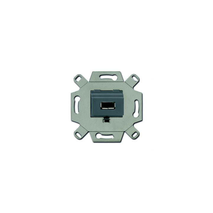 Busch-Jaeger 0261/13 USB Wall Outlet