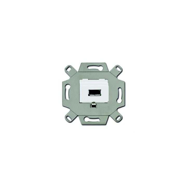 Busch-Jaeger 0261/12 USB Wall Outlet