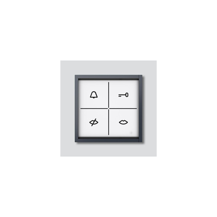 Siedle ZAM 670-0 AG Zustandsanzeige-Modul в Антрацитграу