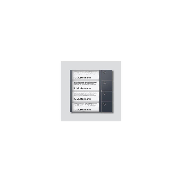 Siedle TM 612-4 AG Tasten-Modul в Антрацитграу