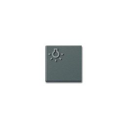 Siedle TLM 611/612-01, BTLM 650 DG Lichttaste mit Lichtsymbol в Дункельграу-Глиммере