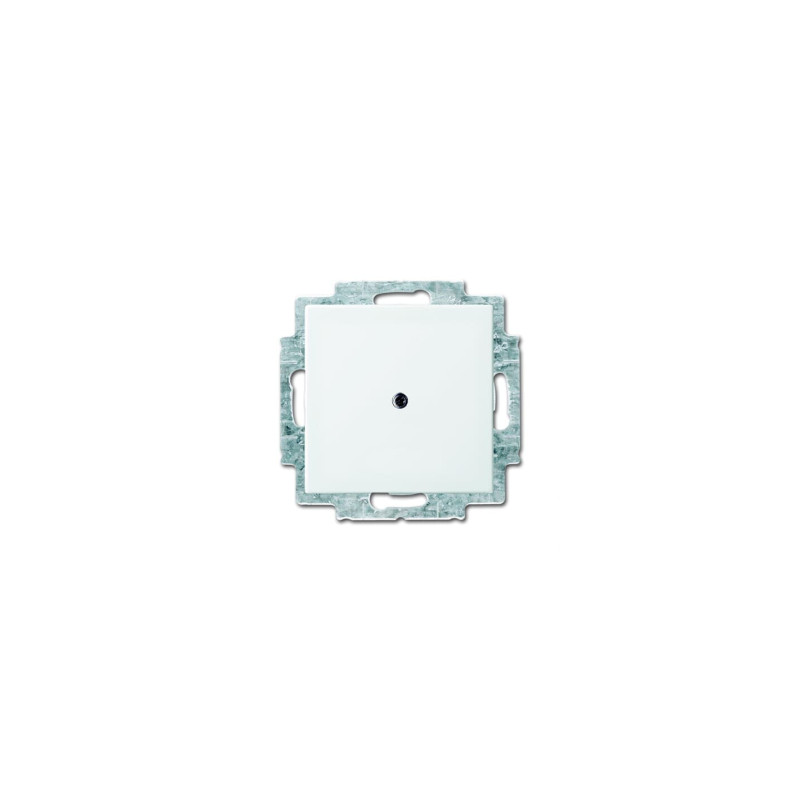 Busch-Jaeger 2538-914 Blindzentralscheibe mit Tragring