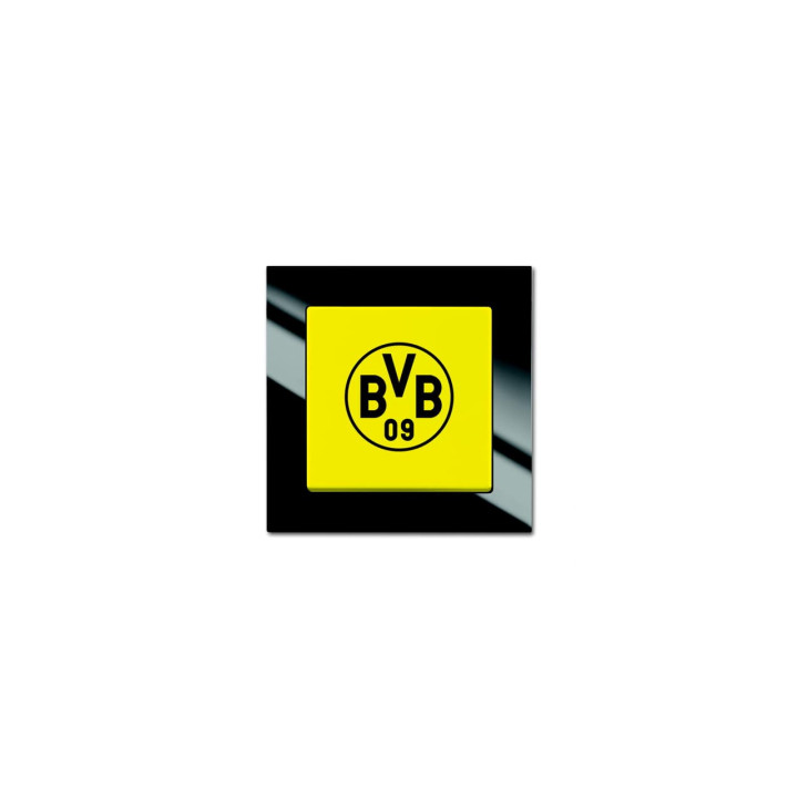 Busch-Jaeger 2000/6 UJ/01 Fanschalter Borussia Dortmundi Aus- und Wechselschaltung