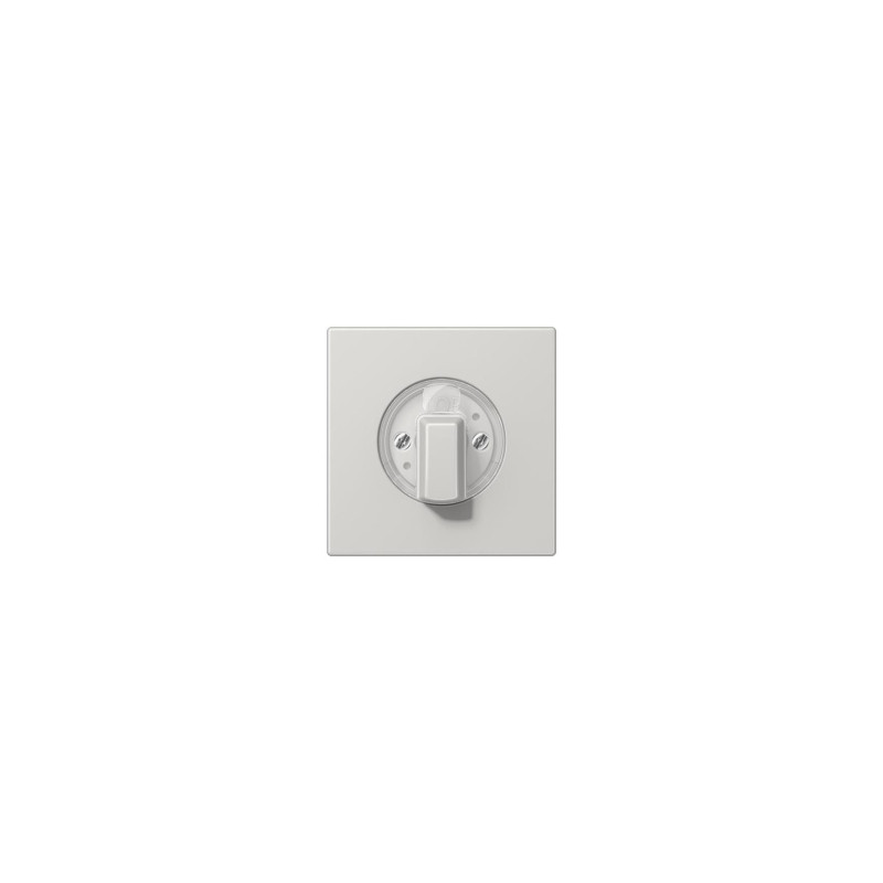 Jung LS1941LG Abdeckung f. Drehschalter -