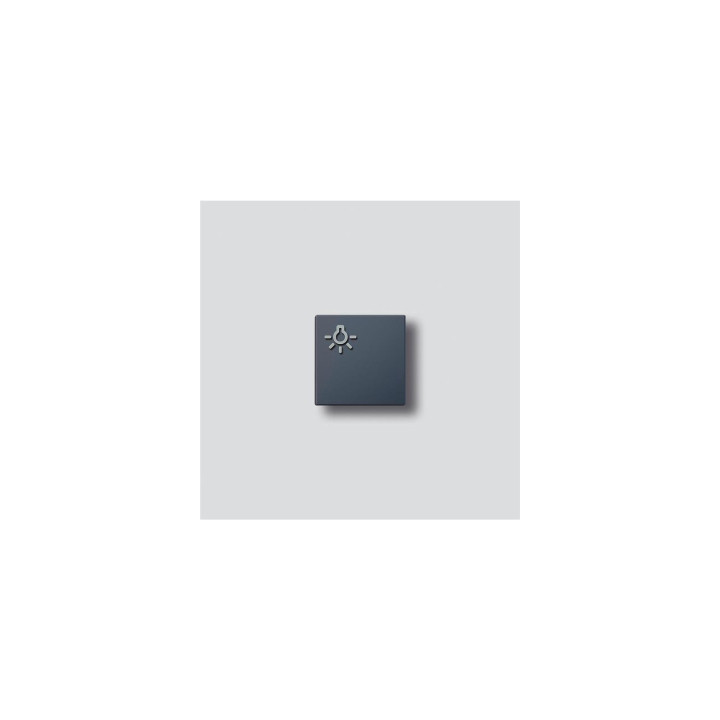 Siedle TLM 611/612-01, BTLM 650 AG Lichttaste mit Lichtsymbol in Anthrazitgrau