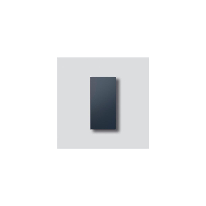 Siedle TM 612-1/BTM 650-01 AG Klingeltaste ohne Glockensymbol in Anthrazitgrau