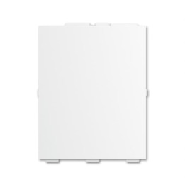 Busch-Jaeger SLS/A.0.11-84 Abdeckung für Schriftfeld RTR, klein Busch-Tenton®