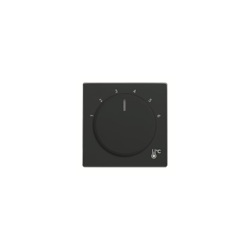 Busch-Jaeger 1794 R-81 Zentralscheibe Temperatur, rund