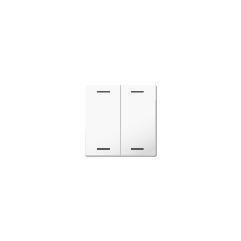 MDT BE-TAL55W202.01 MDT rokturis KNX