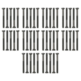 GIRA 818100 Setti Linsenkopfschrauben 50 Stck. WG AP