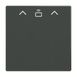 Busch-Jaeger 1792 RFID-81 Zent.Sch.Cardschalter RFID