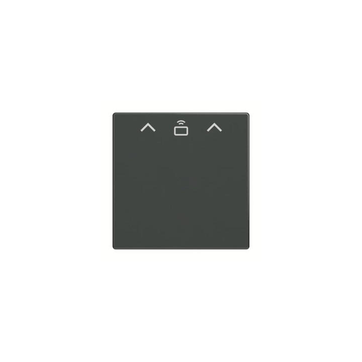 Busch-Jaeger 1792 RFID-81 Zent.Sch.Cardschalter RFID