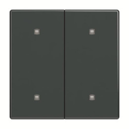 Busch-Jaeger 2570-20-81 Wippe 2-fach Elekroniktaster