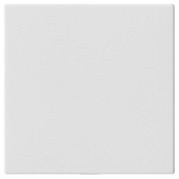 GIRA 810827 Blindabdeckung o.Tragring System 55 Reinweiß matt