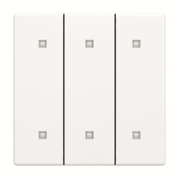 Busch-Jaeger 2570-30-84 Wippe 3-fach Elekroniktaster