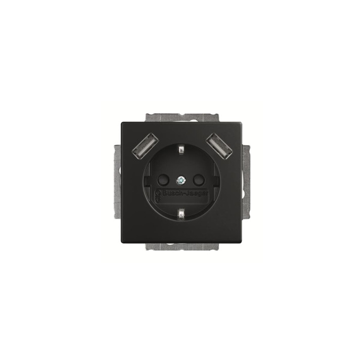 Busch-Jaeger 20 EUCB2USB-885 SCHUKO® 2x USB-Steckdose