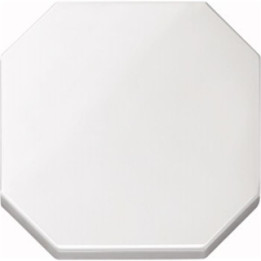 Merten 332119 Wippe, Polarweiß, OCTOCOLOR - - Sonderpreis wegen kleiner Mängel