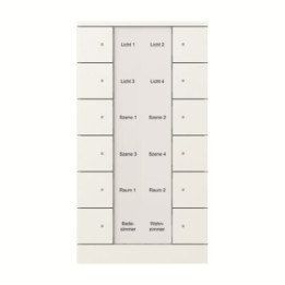 Busch-Jaeger Busch-Tenton KNX vadības elements 12 pogu