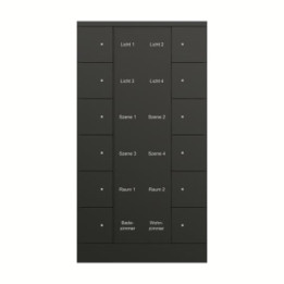 Busch-Jaeger Busch-Tenton KNX vadības elements 12 pogu