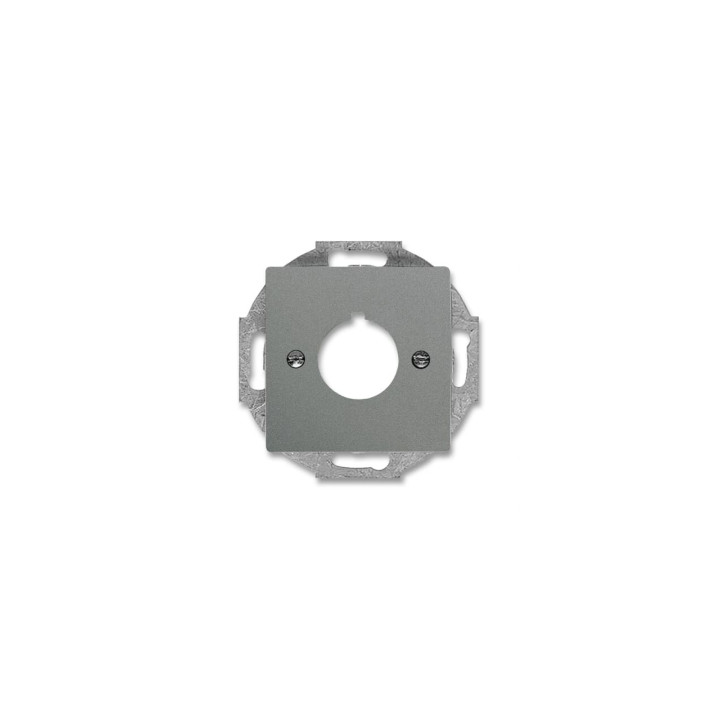 Busch-Jaeger 2533-803 Zentralscheibe mit Tragring
