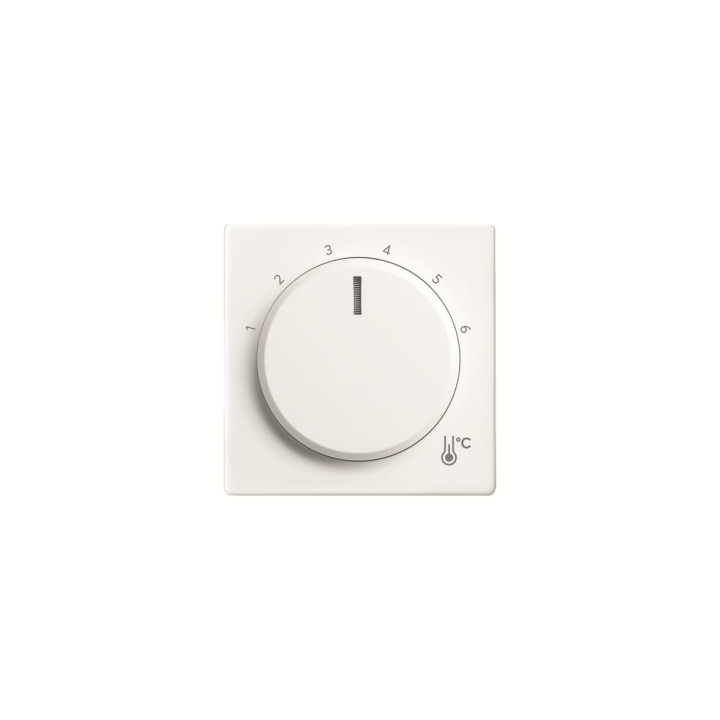 Busch-Jaeger 1794 R-884 Zentralscheibe Temperatur, rund