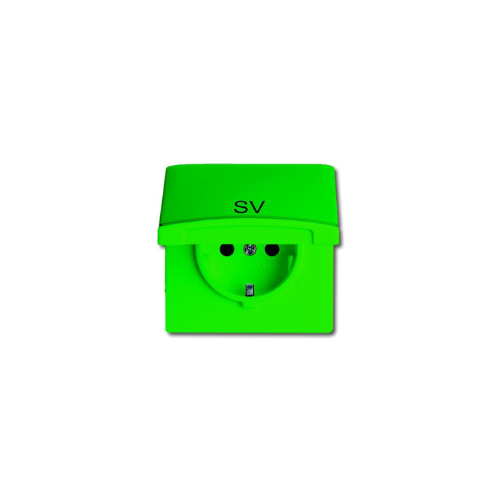 Busch-Jaeger 20 EUGKB-13-102 SCHUKO® Steckdosen-Einsatz ar Klappdeckel und Aufdruck