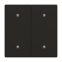 Busch-Jaeger 2570-20-885 Wippe 2-fach Elekroniktaster