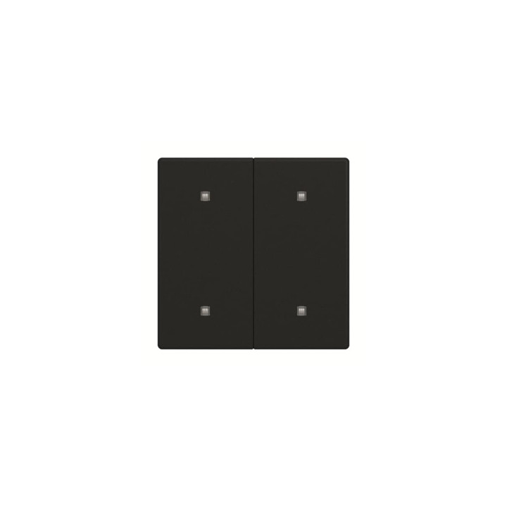 Busch-Jaeger 2570-20-885 Wippe 2-fach Elekroniktaster