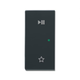 Busch-Jaeger 6237-21-81 Wippe/L 2-fach,Play/Pause
