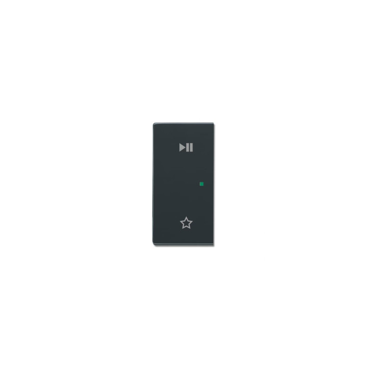 Busch-Jaeger 6237-21-81 Wippe/L 2-fach,Play/Pause
