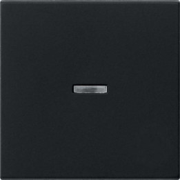 GIRA 0290005 Wippe Kontrollf. System 55 Schwarz matt