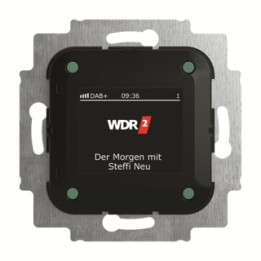 Busch-Jaeger 8215 U-101 Busch-Radio DAB+