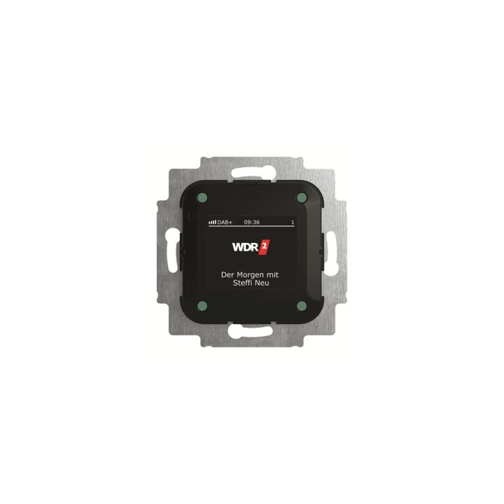 Busch-Jaeger 8215 U-101 Busch-Radio DAB+
