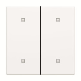 Busch-Jaeger 2570-20-84 Wippe 2-fach Elekroniktaster
