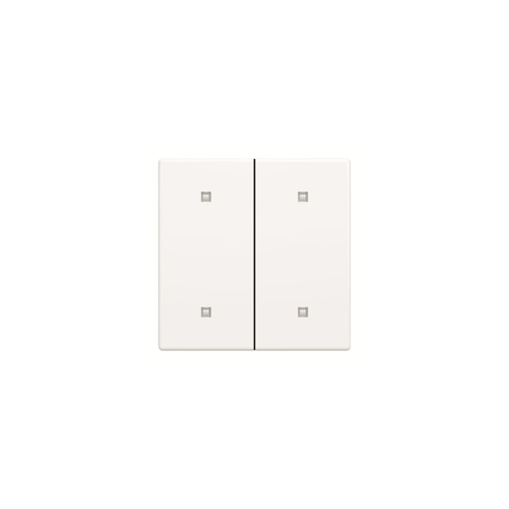 Busch-Jaeger 2570-20-84 Wippe 2-fach Elekroniktaster