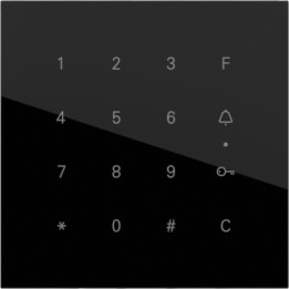 GIRA 5550000 Gira Keyless In Codetastaturmodul Schwarz