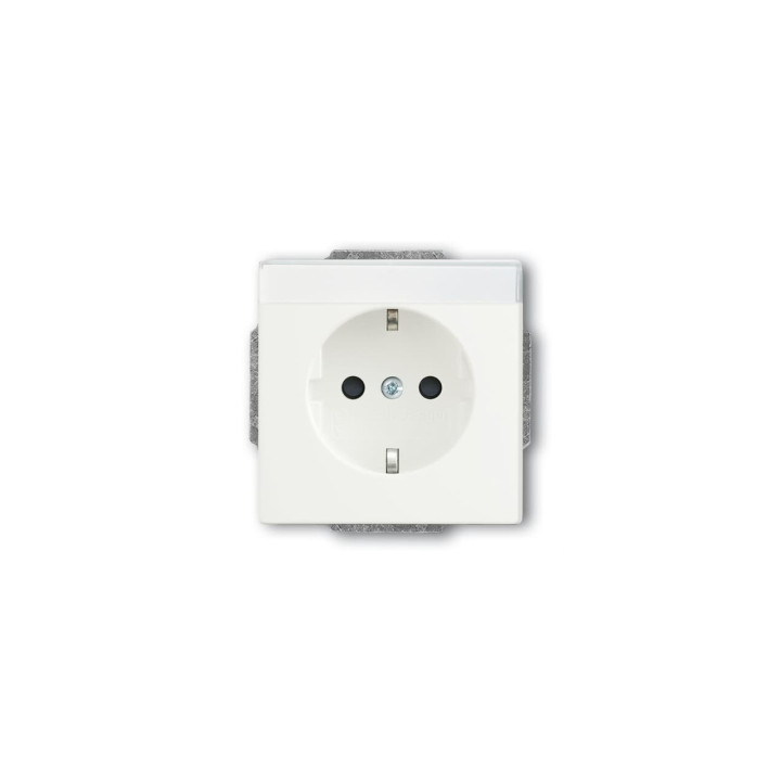 Busch-Jaeger 20 EUCNB-884 SCHUKO® Steckdosen-Einsatz mit Beschriftungsfeld/erh. Berührungsschutz