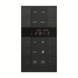 Busch-Jaeger SBC/U10.0.11-885 LVI/CO2-Gerät, 10fach BE