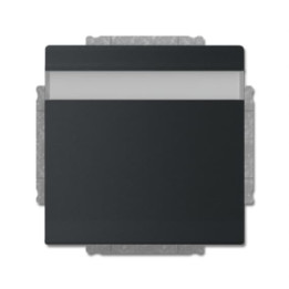 Busch-Jaeger 20 EUKNB-885 SCHUKO® Steckdosen-Einsatz mit Klappdeckel und Beschriftungsfeld
