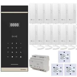 Комплект домофона Genway WL-03NL-V3 цифровой на 12 квартир