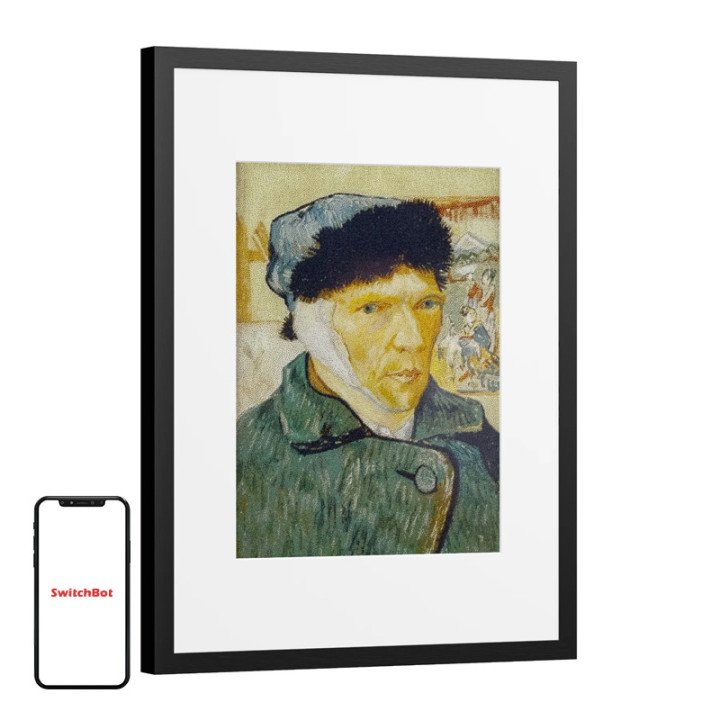SwitchBot AI Art Frame 13.3" Digital Photo Frame W8402010
