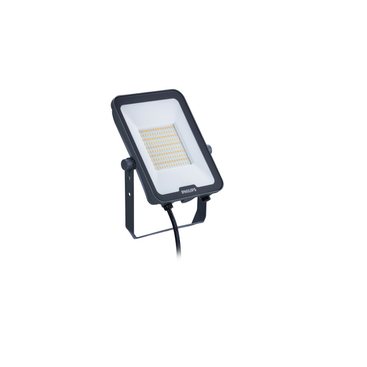 Philips BVP167 LED Floodlight 50W IP65