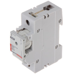 LEGRAND LE-606608 D02 Выключатель-Разъединитель 50A 1P