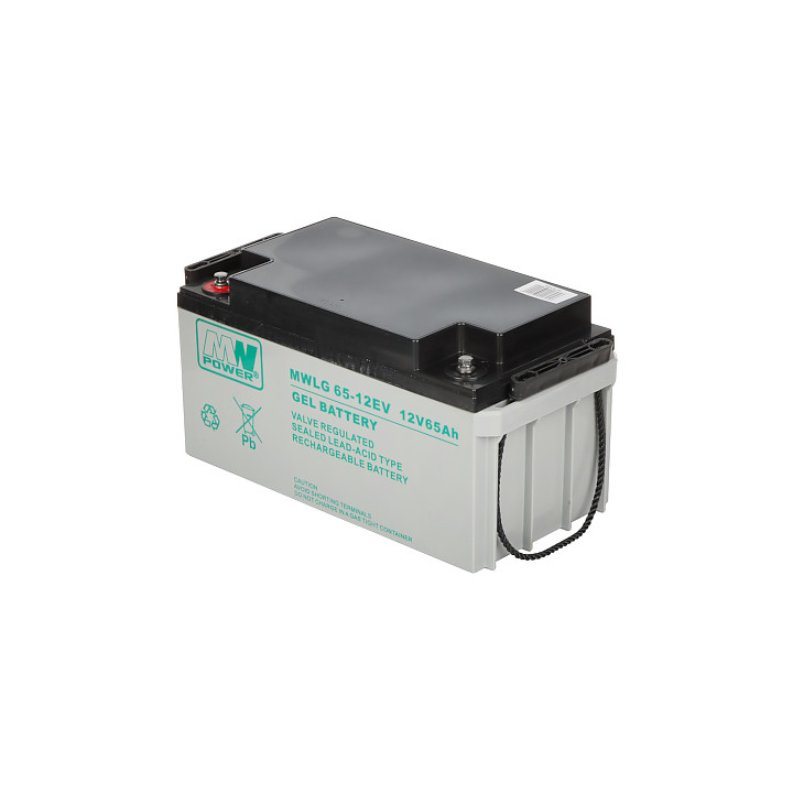 MW Power 12V/65AH-MWLG 12V 65Ah GEL аккумулятор