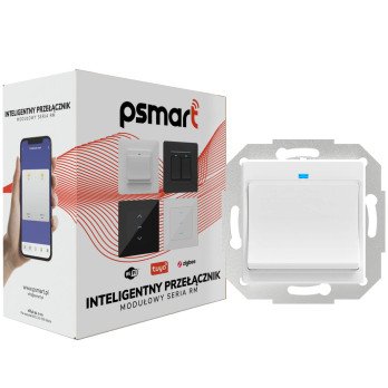 PSMART Switch 1 plastic circuit RM B WiFi TUYA