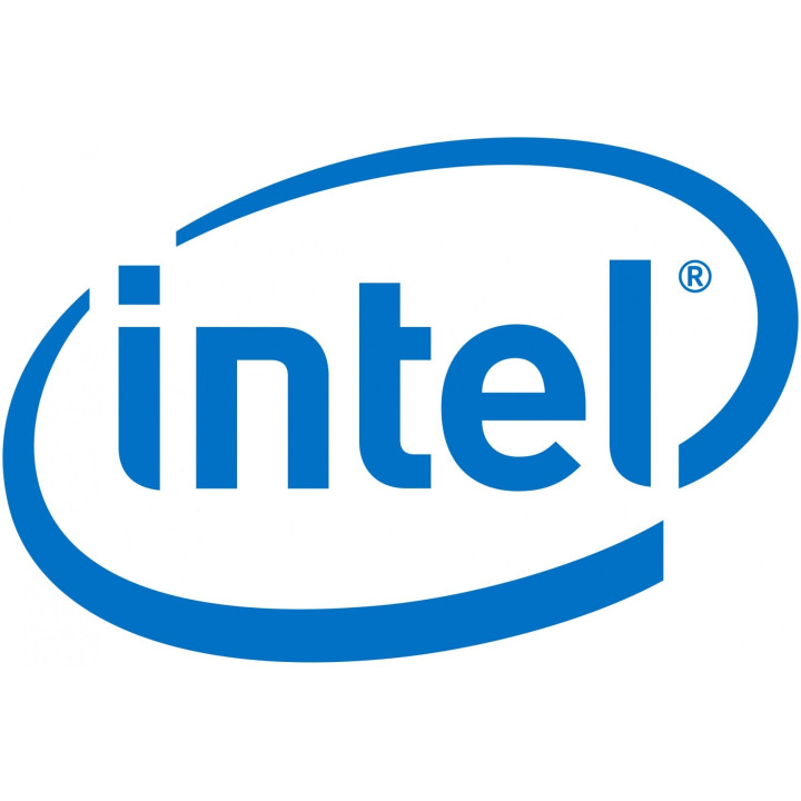 Intel AXXRMM4LITE2 valdymo modulis nuotoliniam serverių valdymui