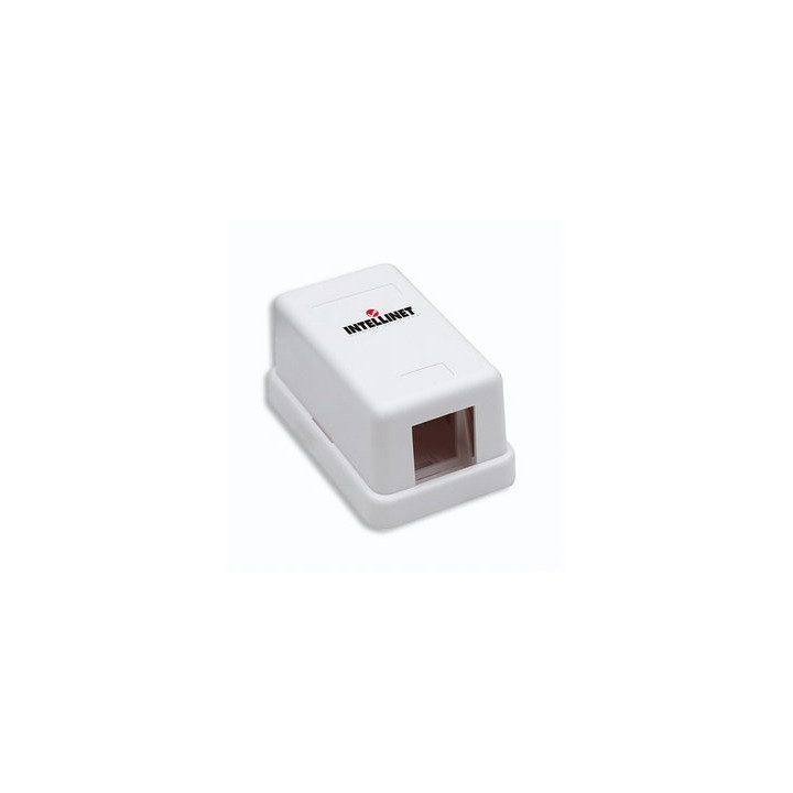 Intellinet 162739 NAT-liitin KeystoneX1-kotelo
