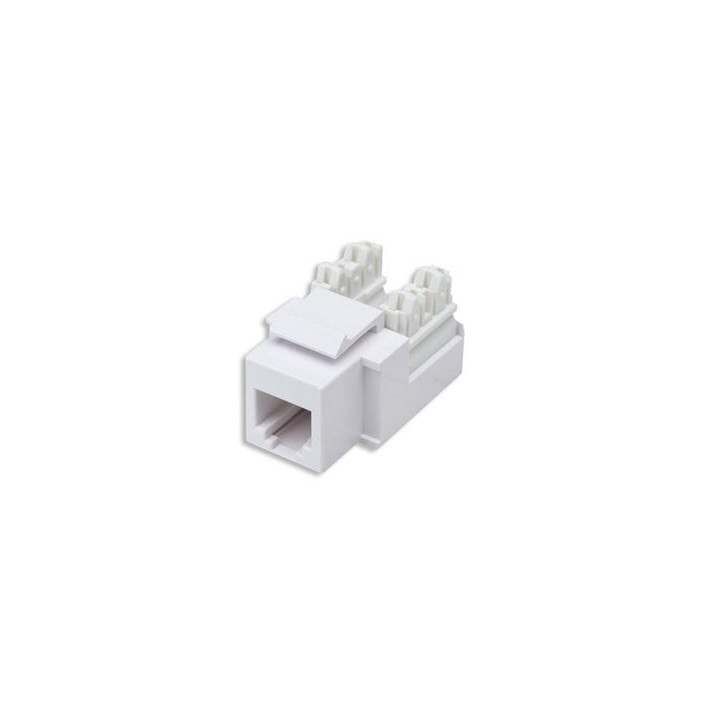 Intellinet 502795 Keystone-moduuli RJ11/12 valkoinen - puhe-/dataseinäpistoke