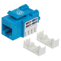 Intellinet 210737 Cat6 UTP Keystone Module Blue