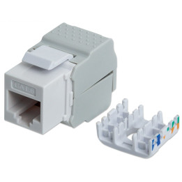 Intellinet 167062 Cat6 UTP Keystone moodul, valge